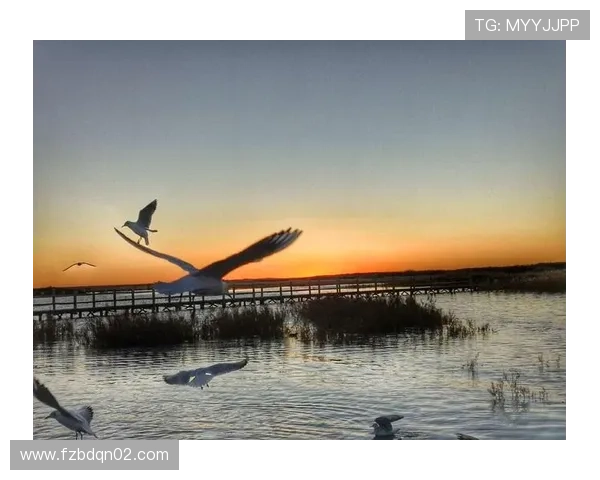 追逐梦想的绿茵传奇最想成为足球明星的少年心声与奋斗历程