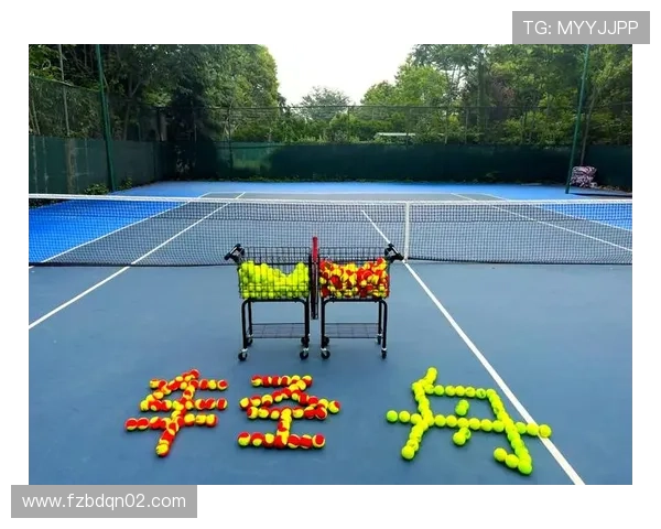 从零基础到网球高手：全面解析网球战术与技巧的实用指南